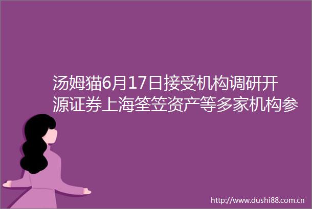 汤姆猫6月17日接受机构调研开源证券上海筌笠资产等多家机构参与
