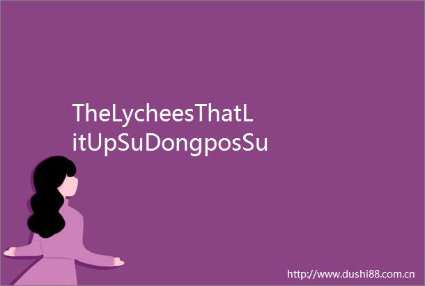 TheLycheesThatLitUpSuDongposSummerinHainan