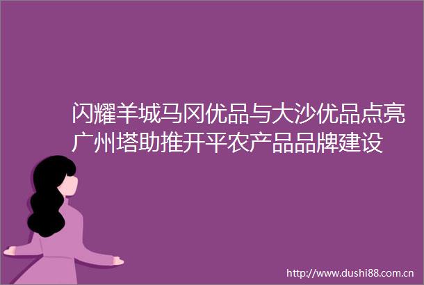 闪耀羊城马冈优品与大沙优品点亮广州塔助推开平农产品品牌建设