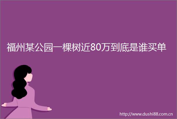 福州某公园一棵树近80万到底是谁买单