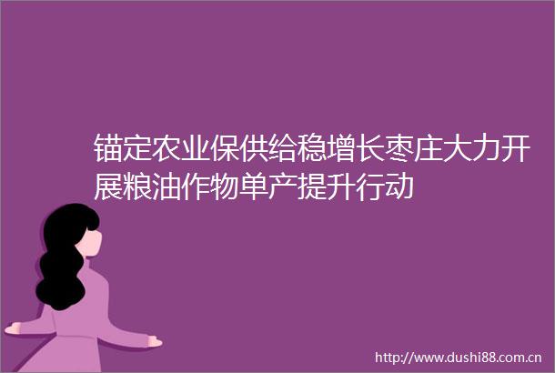 锚定农业保供给稳增长枣庄大力开展粮油作物单产提升行动
