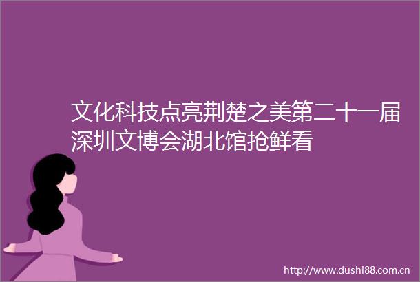 文化科技点亮荆楚之美第二十一届深圳文博会湖北馆抢鲜看