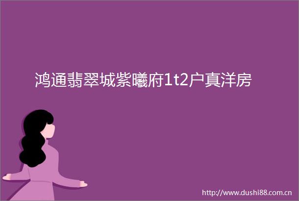 鸿通翡翠城紫曦府1t2户真洋房