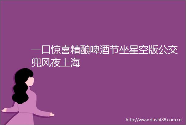 一口惊喜精酿啤酒节坐星空版公交兜风夜上海