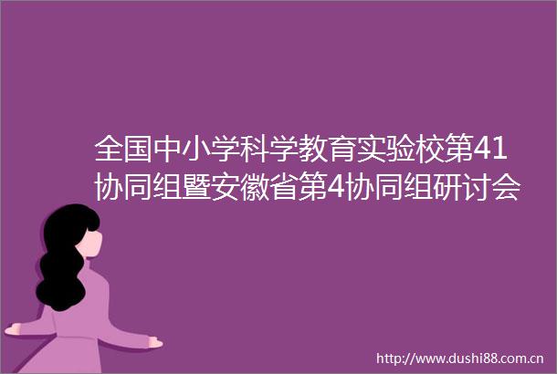 全国中小学科学教育实验校第41协同组暨安徽省第4协同组研讨会圆满落幕