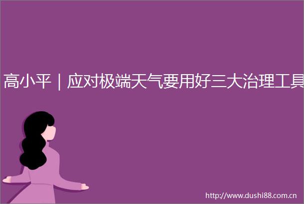 高小平｜应对极端天气要用好三大治理工具
