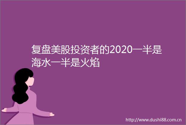 复盘美股投资者的2020一半是海水一半是火焰