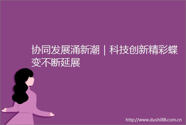协同发展涌新潮｜科技创新精彩蝶变不断延展