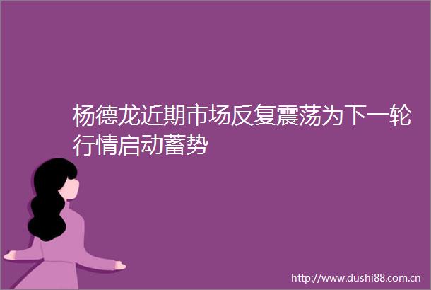 杨德龙近期市场反复震荡为下一轮行情启动蓄势