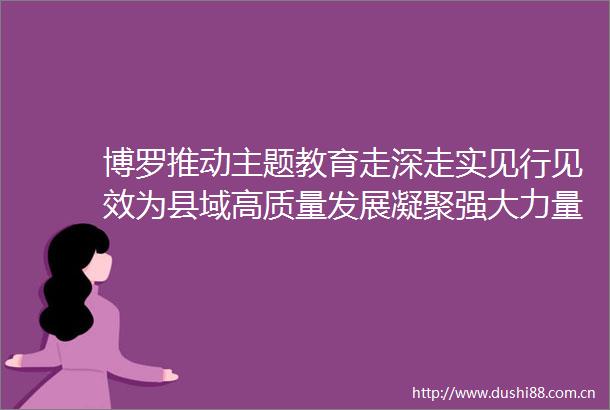 博罗推动主题教育走深走实见行见效为县域高质量发展凝聚强大力量