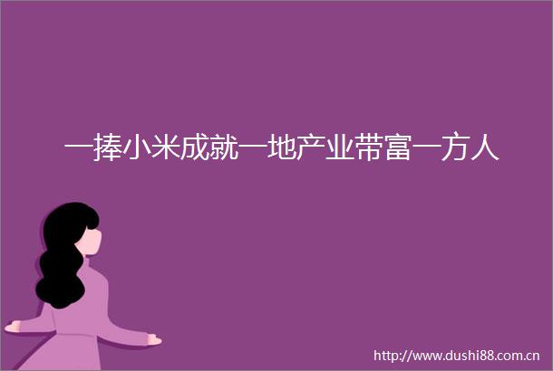 一捧小米成就一地产业带富一方人