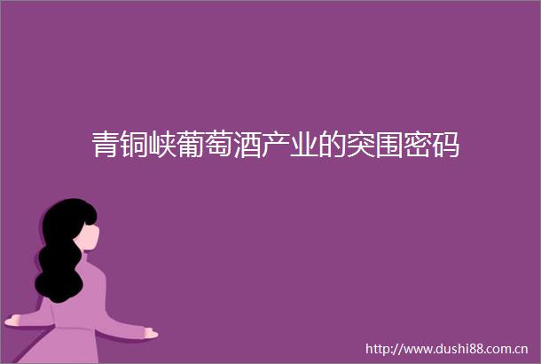 青铜峡葡萄酒产业的突围密码