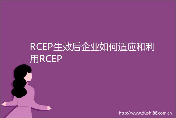 RCEP生效后企业如何适应和利用RCEP
