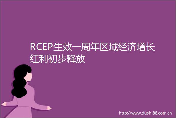 RCEP生效一周年区域经济增长红利初步释放
