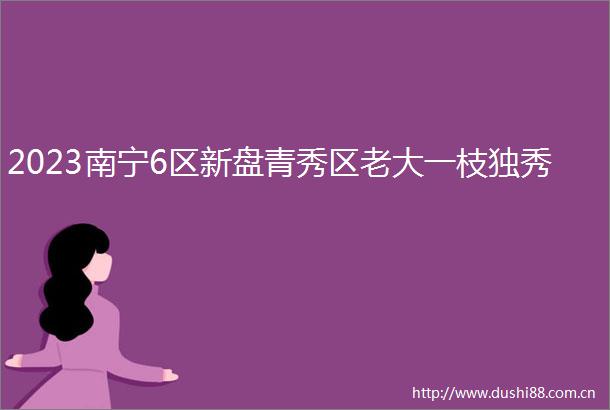2023南宁6区新盘青秀区老大一枝独秀