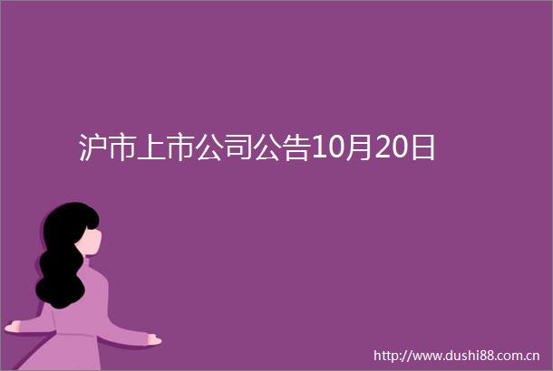 沪市上市公司公告10月20日