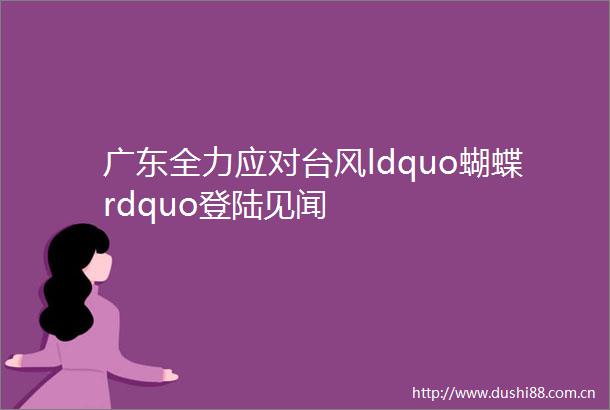 广东全力应对台风ldquo蝴蝶rdquo登陆见闻