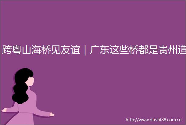 跨粤山海桥见友谊｜广东这些桥都是贵州造