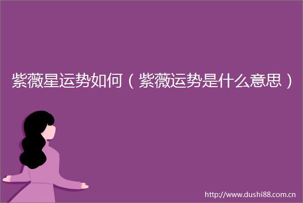 紫薇星运势如何（紫薇运势是什么意思）
