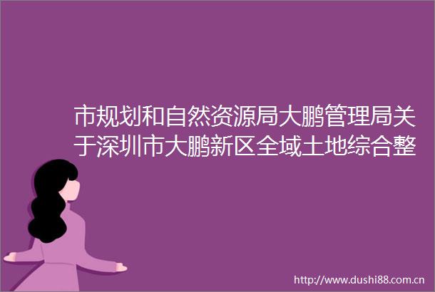 市规划和自然资源局大鹏管理局关于深圳市大鹏新区全域土地综合整治实施方案的公示