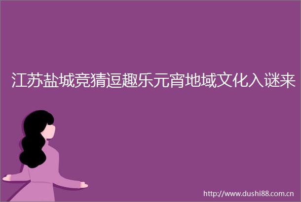 江苏盐城竞猜逗趣乐元宵地域文化入谜来