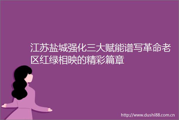 江苏盐城强化三大赋能谱写革命老区红绿相映的精彩篇章
