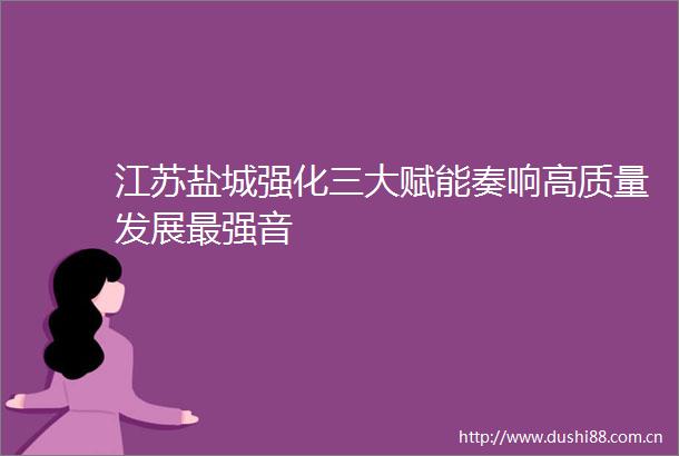 江苏盐城强化三大赋能奏响高质量发展最强音