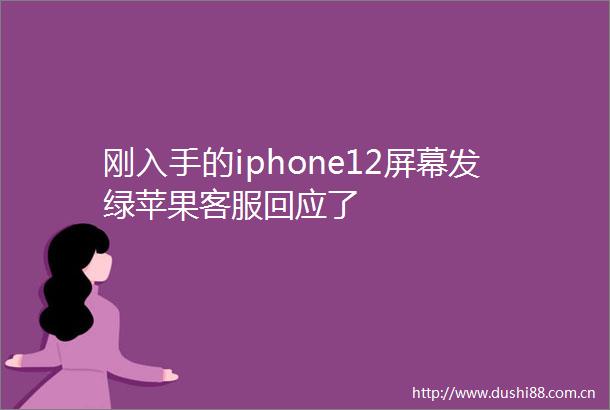 刚入手的iphone12屏幕发绿苹果客服回应了