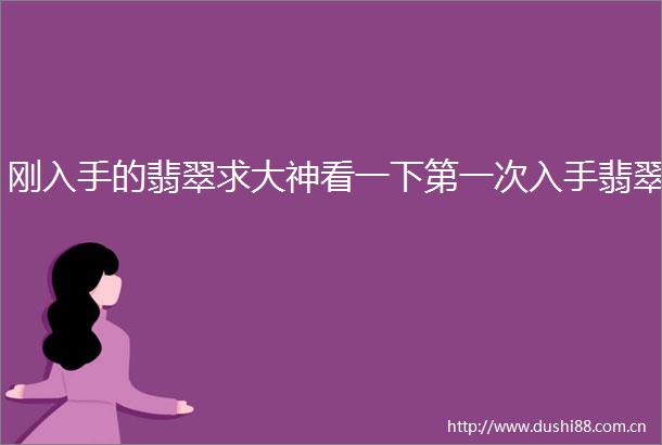 刚入手的翡翠求大神看一下第一次入手翡翠