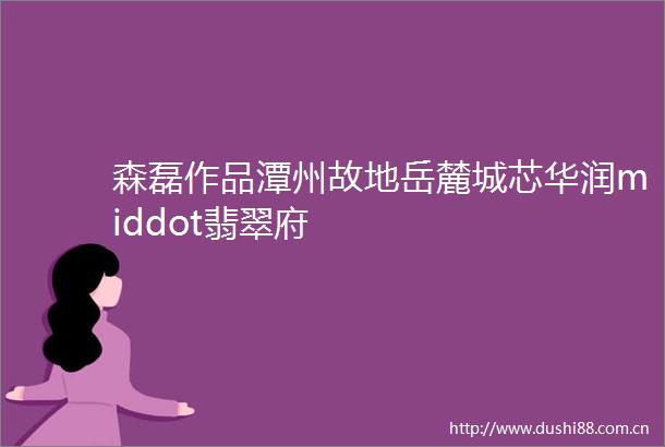 森磊作品潭州故地岳麓城芯华润middot翡翠府