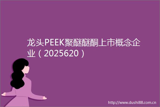 龙头PEEK聚醚醚酮上市概念企业（2025620）