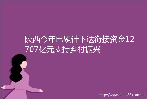 陕西今年已累计下达衔接资金12707亿元支持乡村振兴