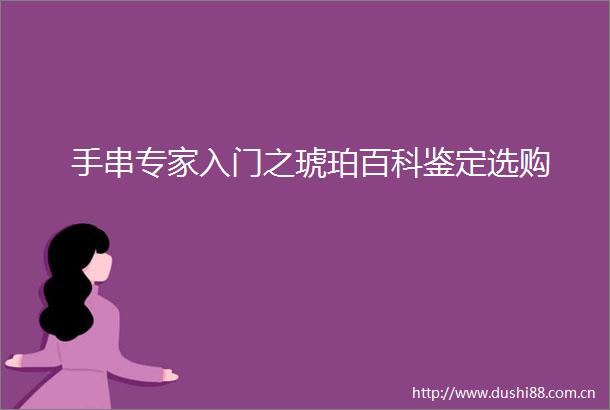 手串专家入门之琥珀百科鉴定选购