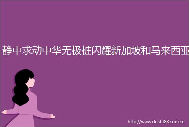 静中求动中华无极桩闪耀新加坡和马来西亚