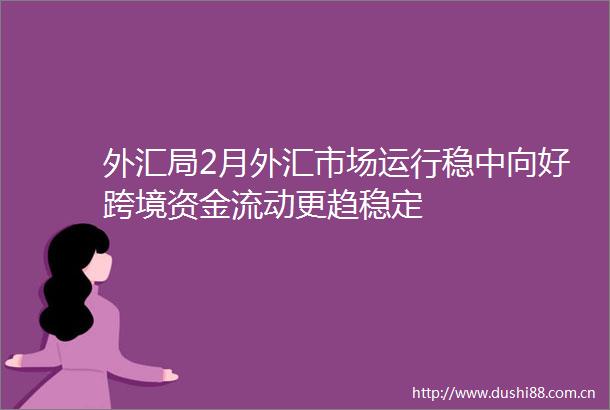 外汇局2月外汇市场运行稳中向好跨境资金流动更趋稳定