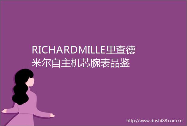 RICHARDMILLE里查德米尔自主机芯腕表品鉴