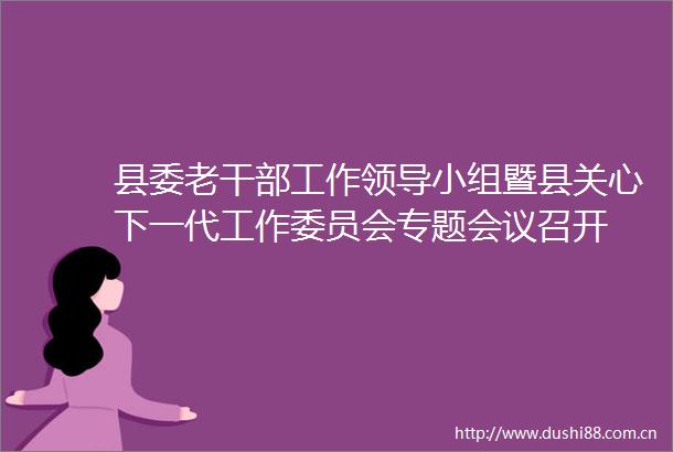 县委老工作小组暨县关心下一代工作委员会专题会议召开
