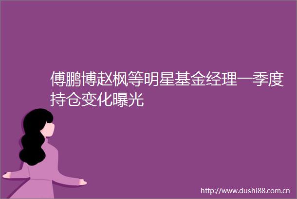 傅鹏博赵枫等明星基金经理一季度持仓变化