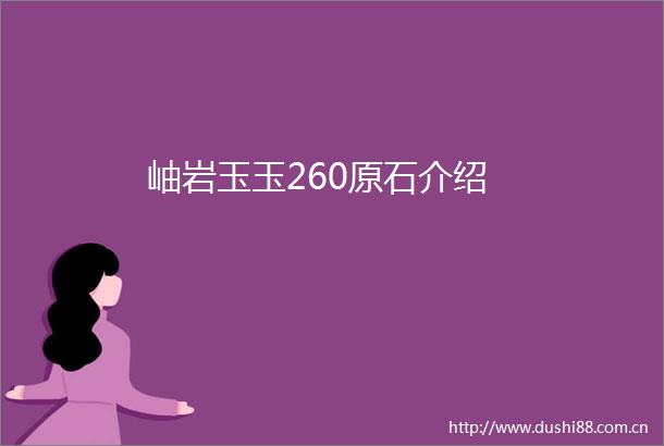 岫岩玉玉260原石介绍