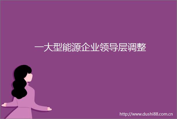 一大型能源企业层调整