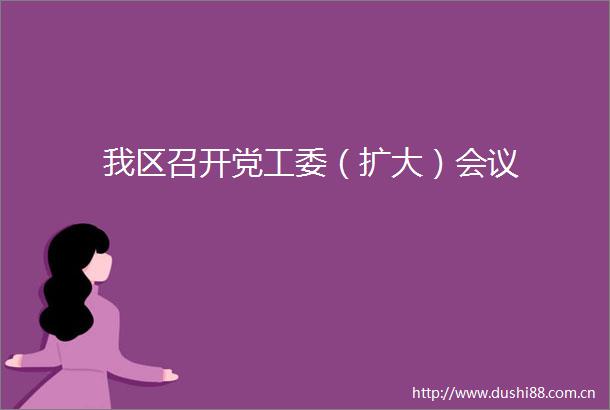 我区召开党工委（扩大）会议