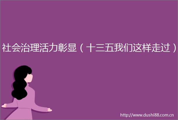 社会治理活力彰显（十三五我们这样走过）