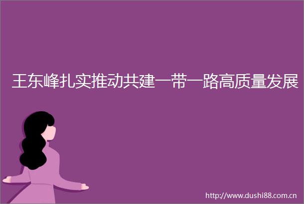 王东峰扎实推动共建一带一路高质量发展