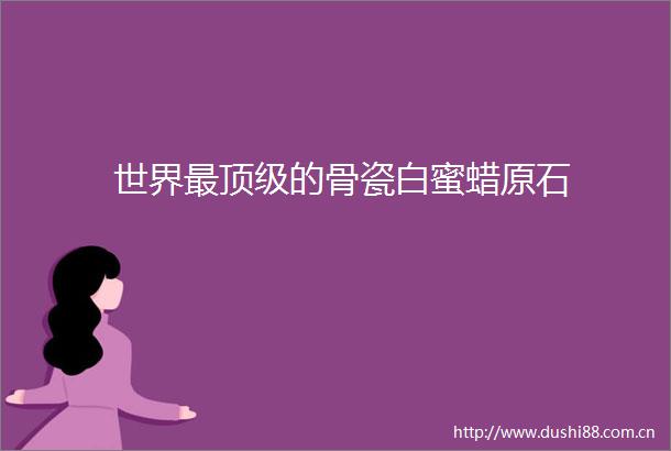世界最顶级的骨瓷白蜜蜡原石