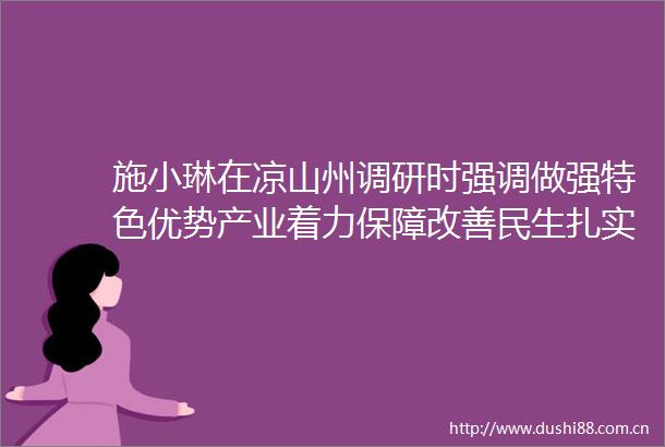 施小琳在凉山州调研时强调做强特色优势产业着力保障改善民生扎实推动民族地区高质量发展