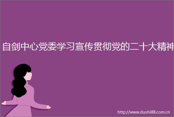 自剑中心党委学习宣传贯彻党的二十大精神