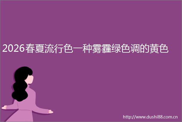 2026春夏流行色一种雾霾绿色调的黄色