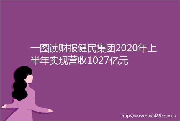 一图读财报健民集团2020年上半年实现营收1027亿元