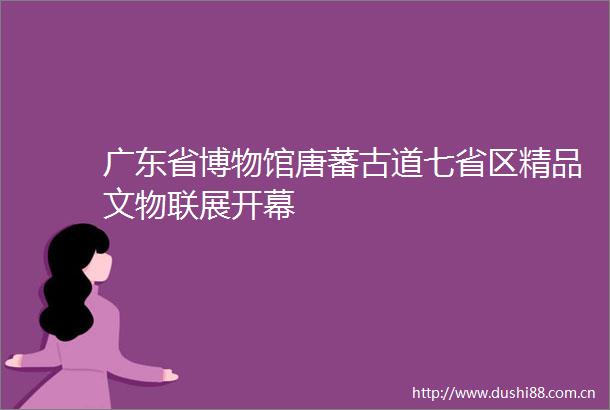 广东省博物馆唐蕃古道七省区精品文物联展开幕