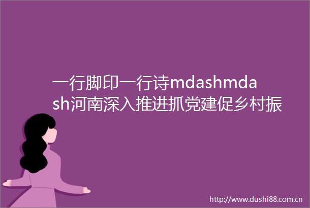 一行脚印一行诗mdashmdash河南深入推进抓党建促乡村振兴纪实